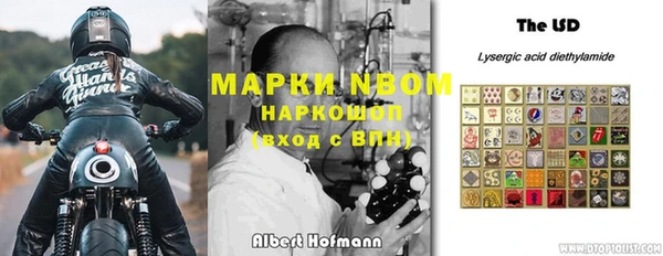 гидропоника Алзамай