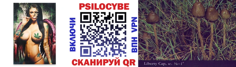 Галлюциногенные грибы прущие грибы  Сосновый Бор 